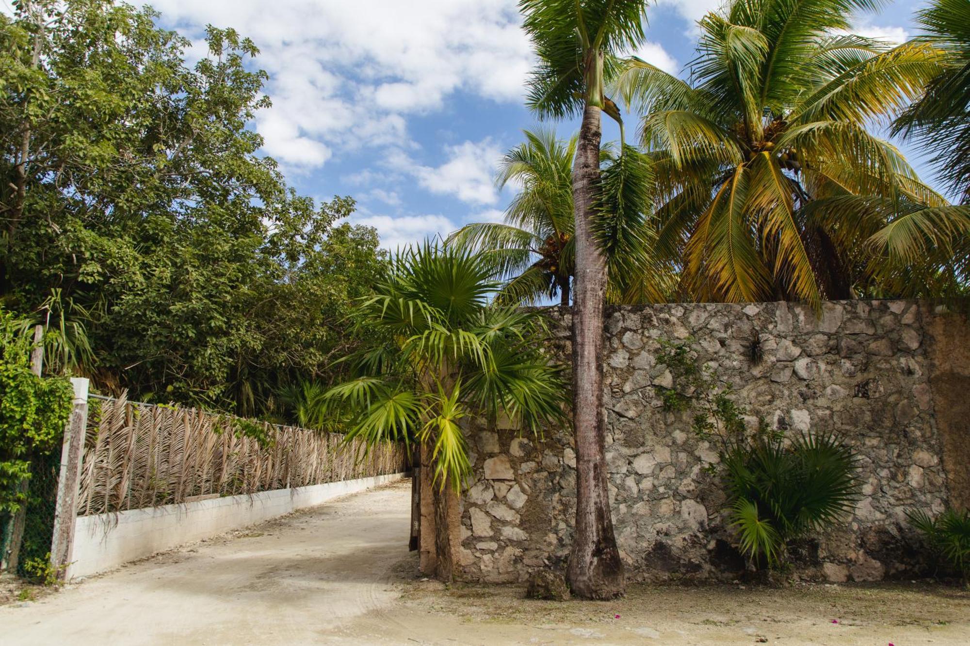 Angelina 28 Beachfront And Family Apartments - Modern And Relaxing Long Stays - 20 Min From Cancun Airport Puerto Morelos Exterior foto